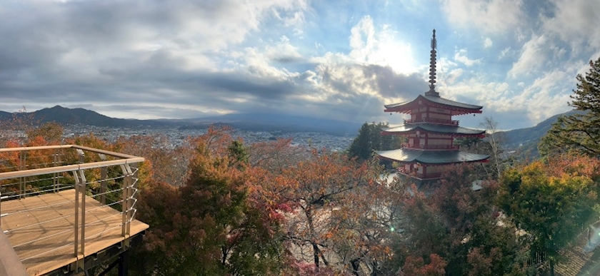 Vivienne日記1221868