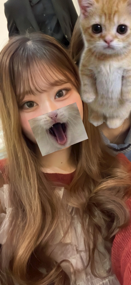 Vivienne日記1239456