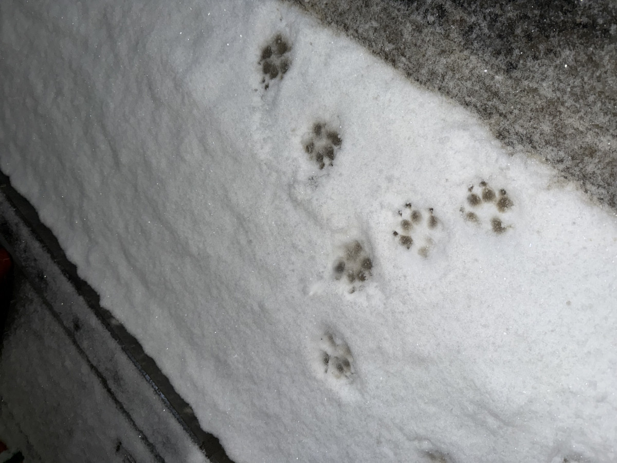 CLUB Eight日記1297192