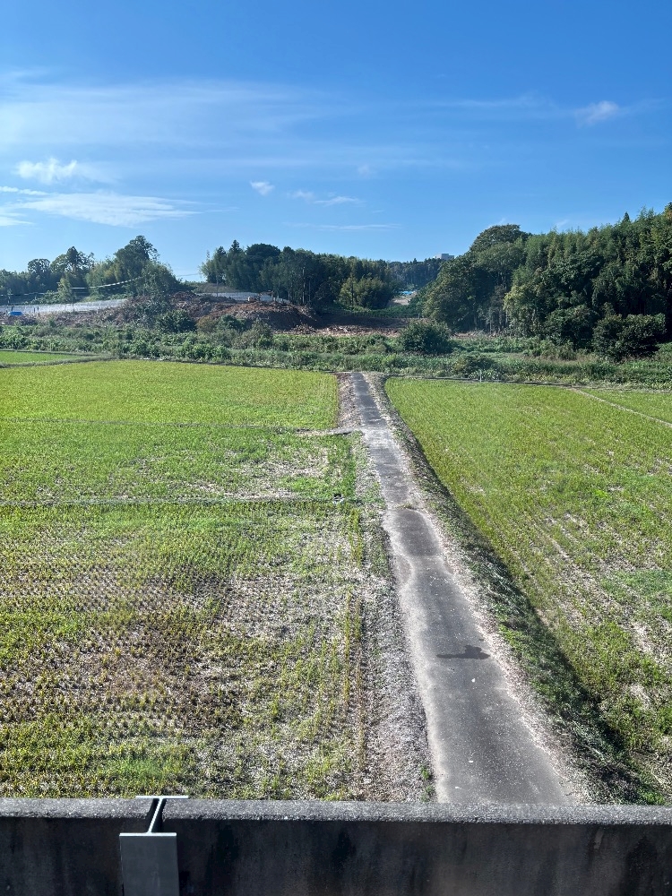 non-non日記1475751