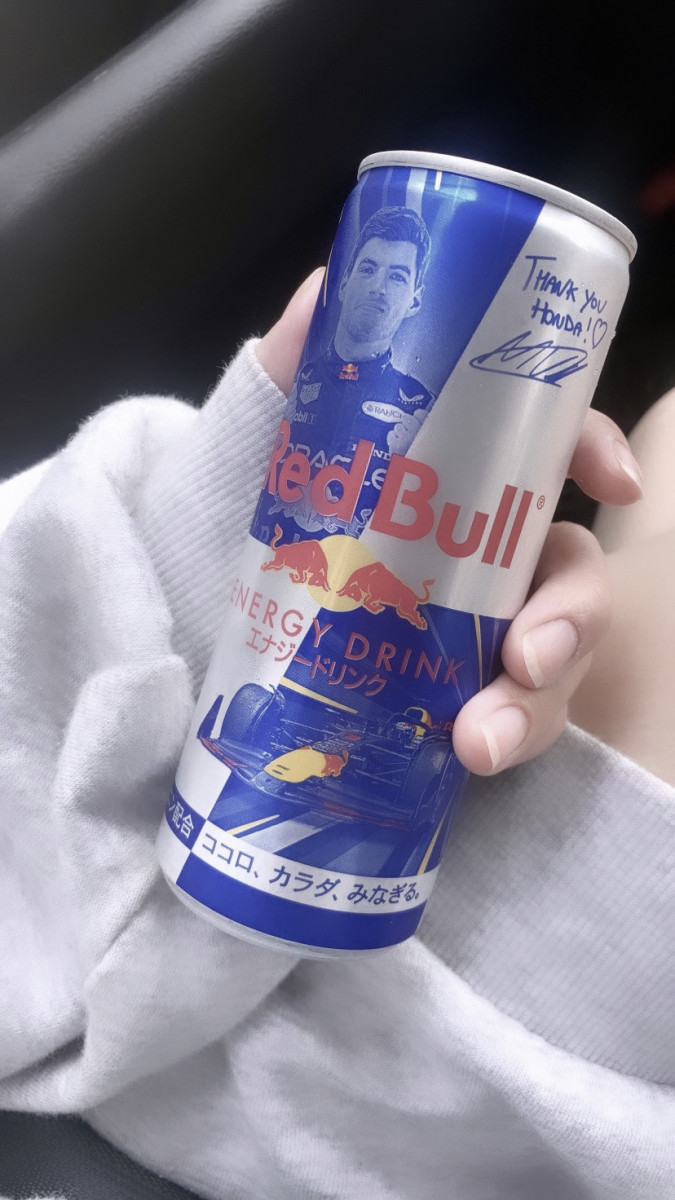 BLUEGATE日記1528252