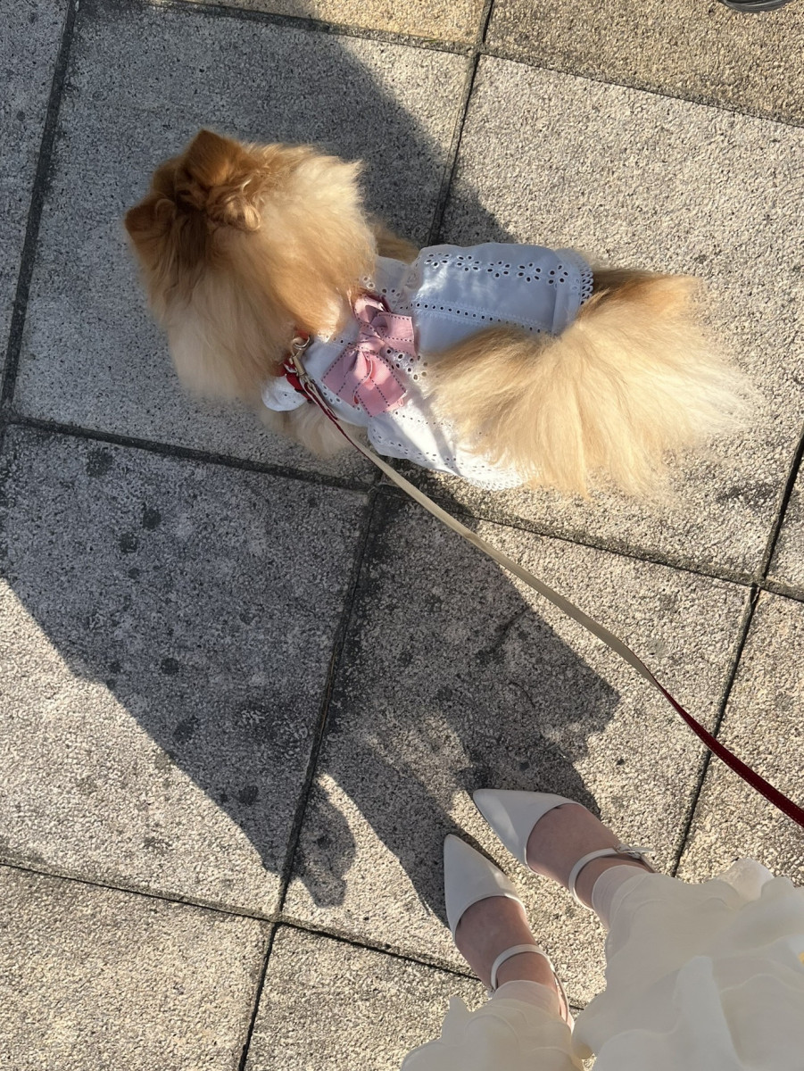 Lounge LULA日記1554536