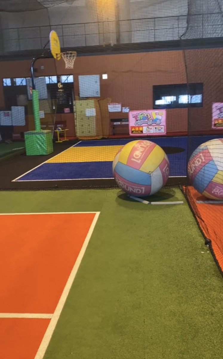 🏸