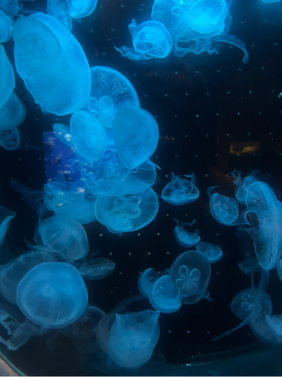 Lounge LULA日記1588571