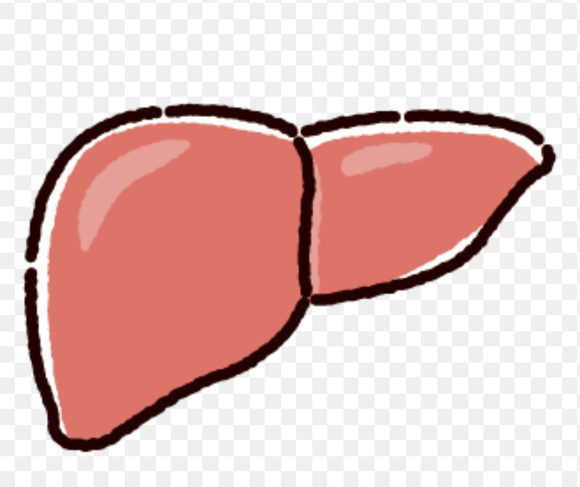 Lounge LULA日記1625386