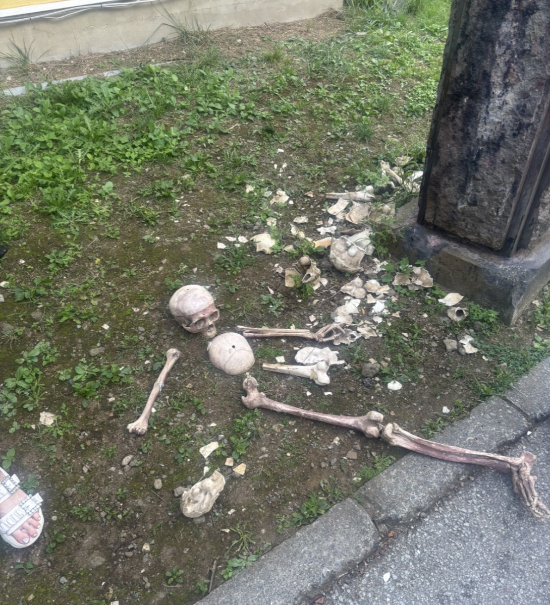 一条 葵
