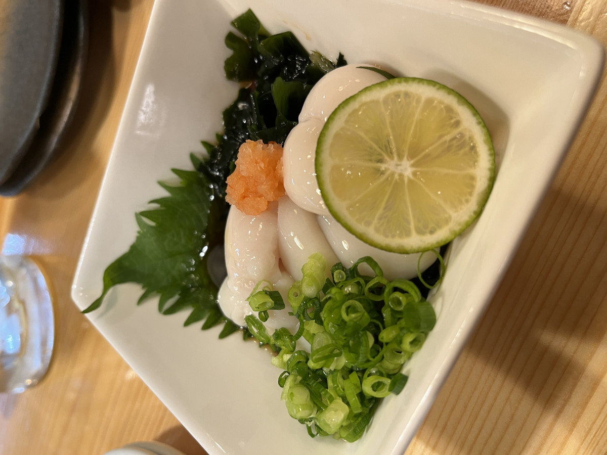 一条 葵
