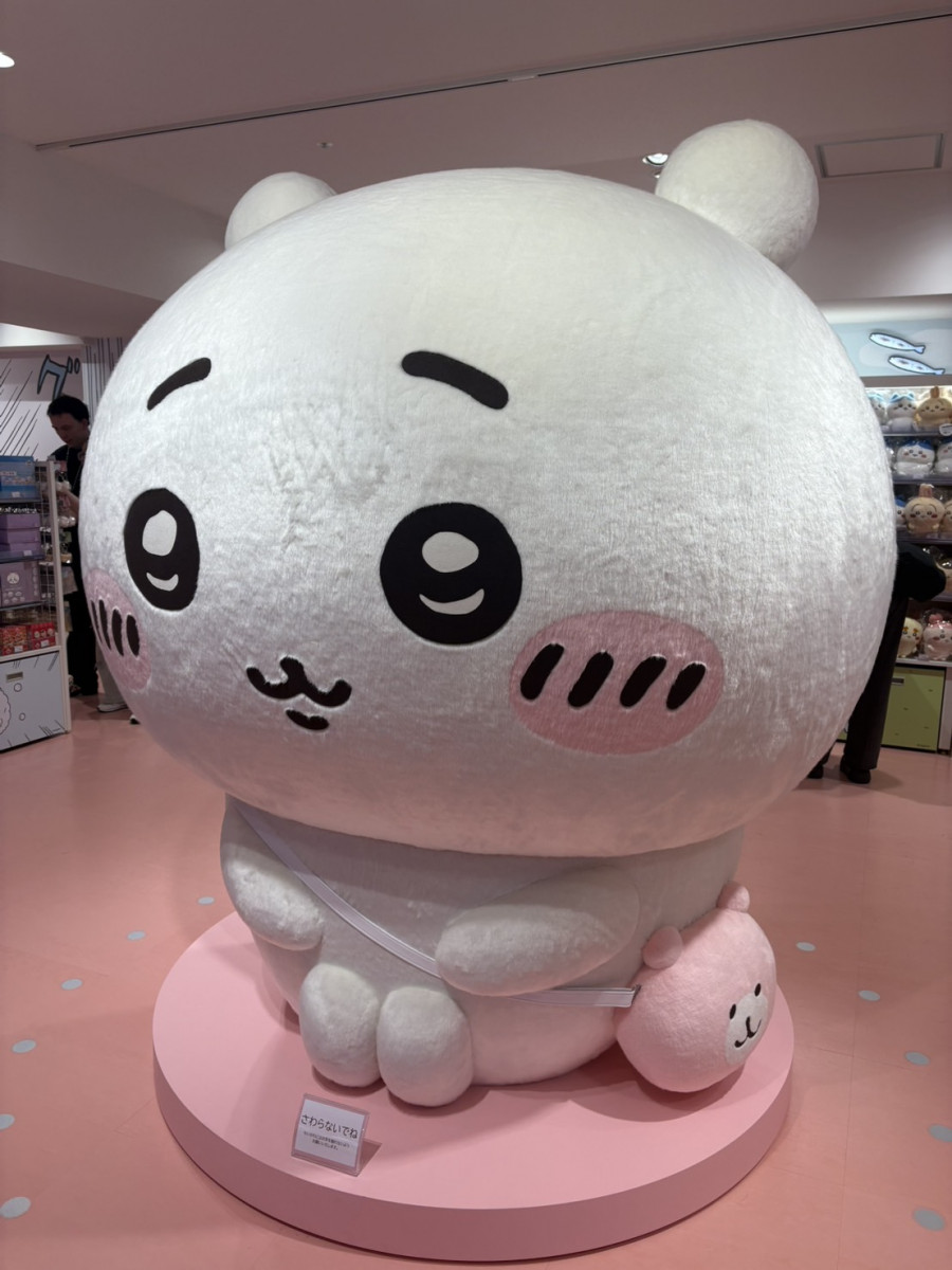 一条 葵