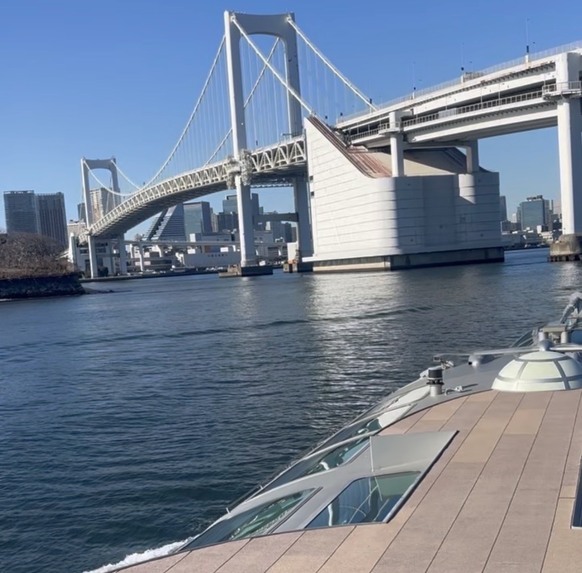 一条 葵