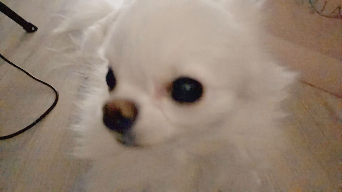 すっきり！