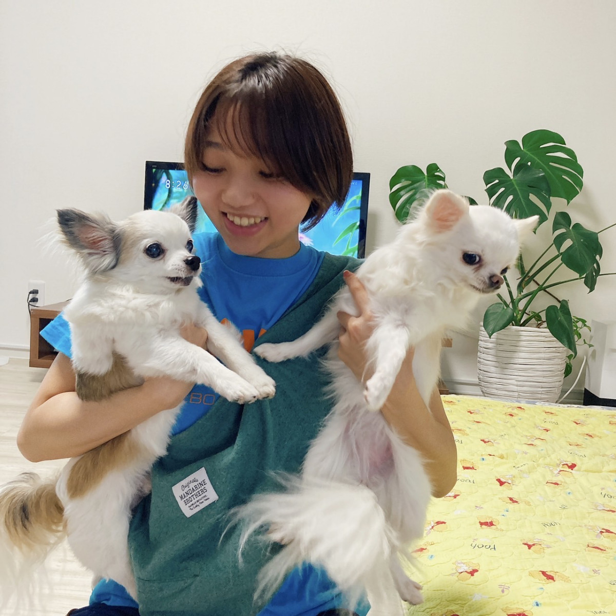 一条 葵