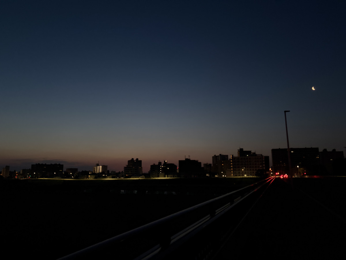 一条 葵