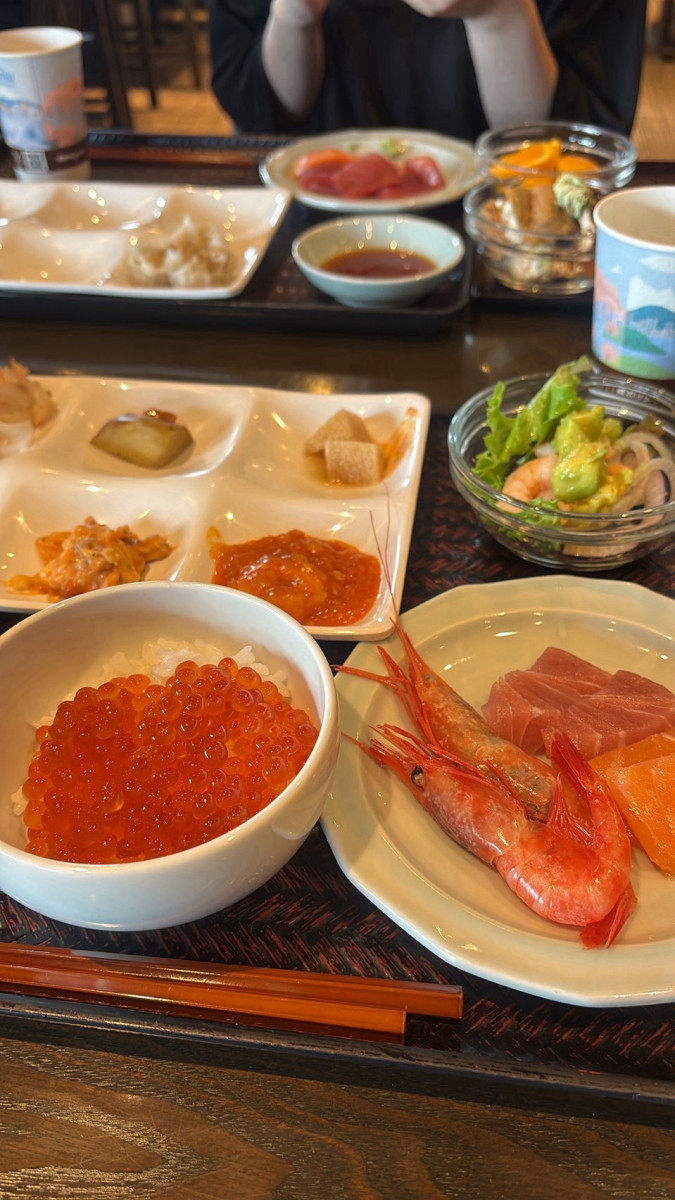 一条 葵