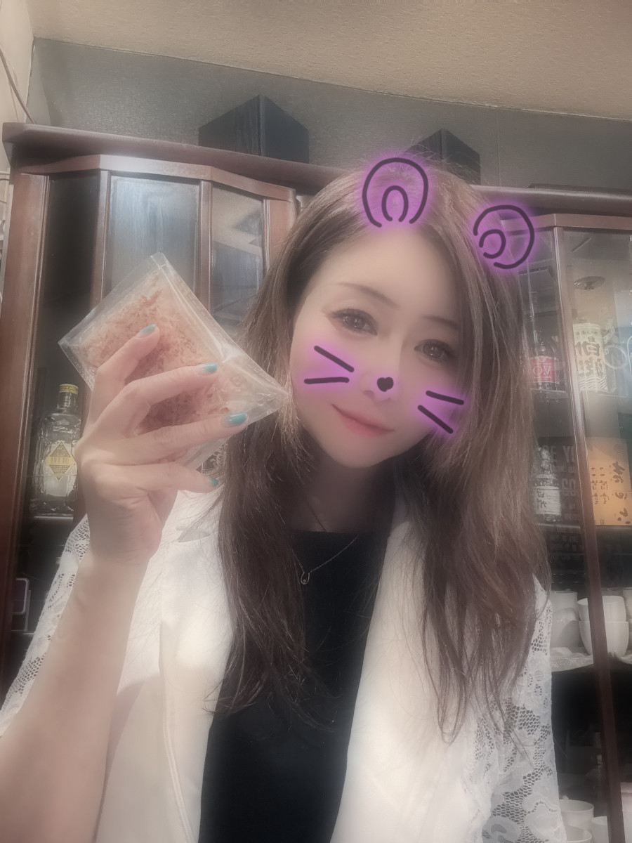 一条 葵