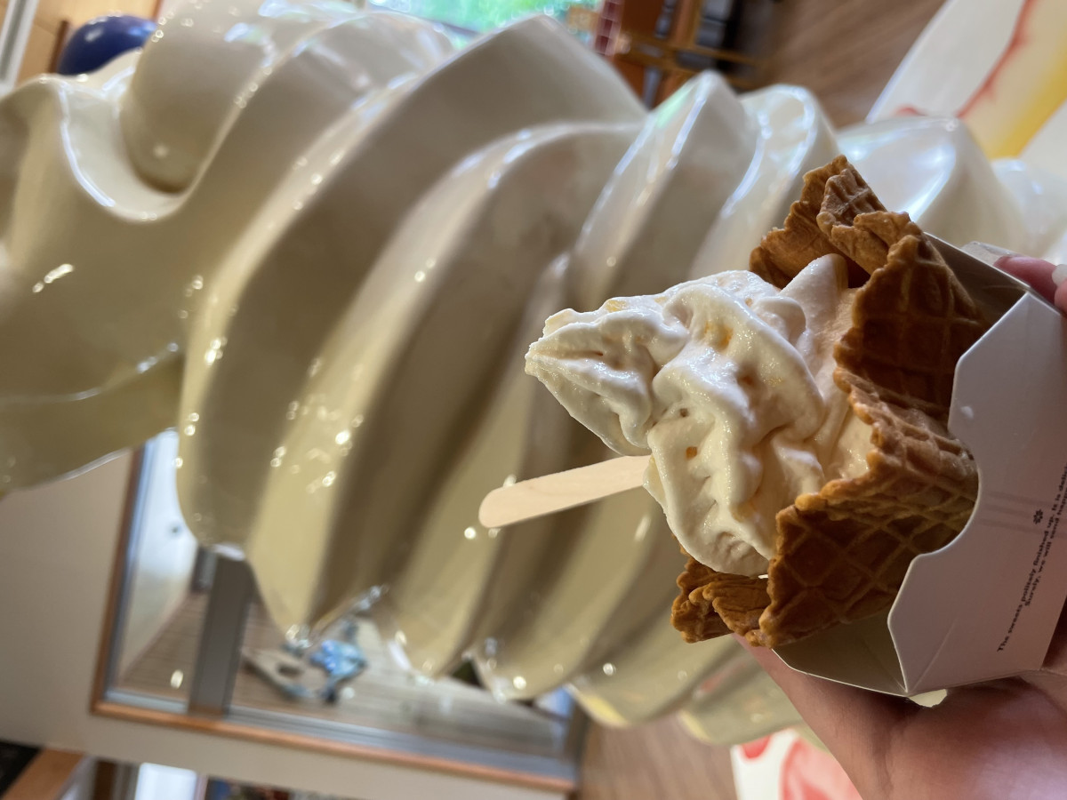 一条 葵