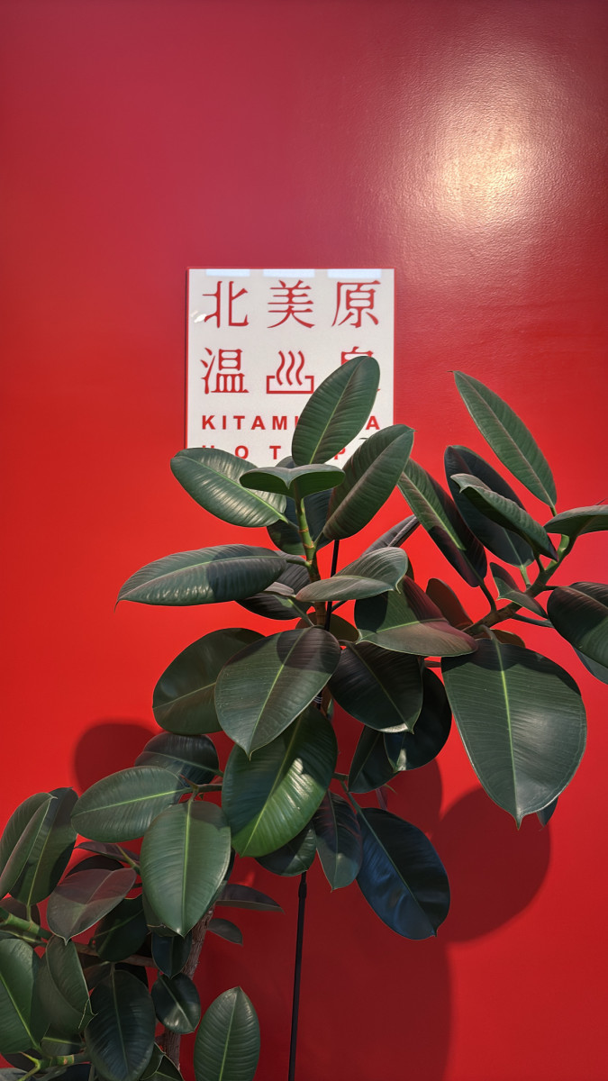 Lounge LULA日記1697642