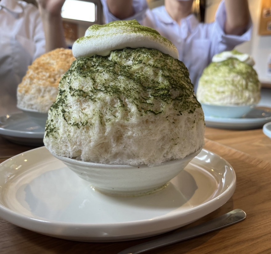 一条 葵