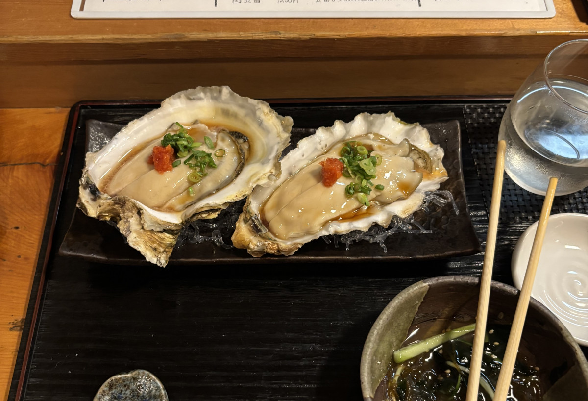 一条 葵