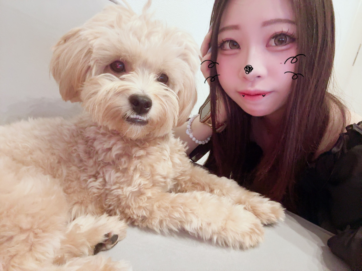 一条 葵