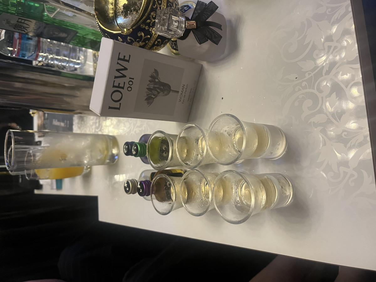 一条 葵
