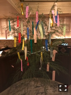 七夕→土曜日＼(^o^)／