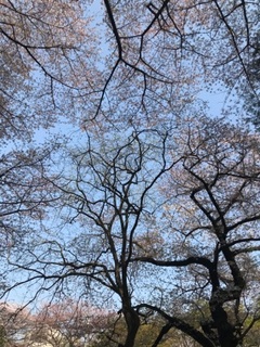 4月も宜しくお願い致しますますm(__)m