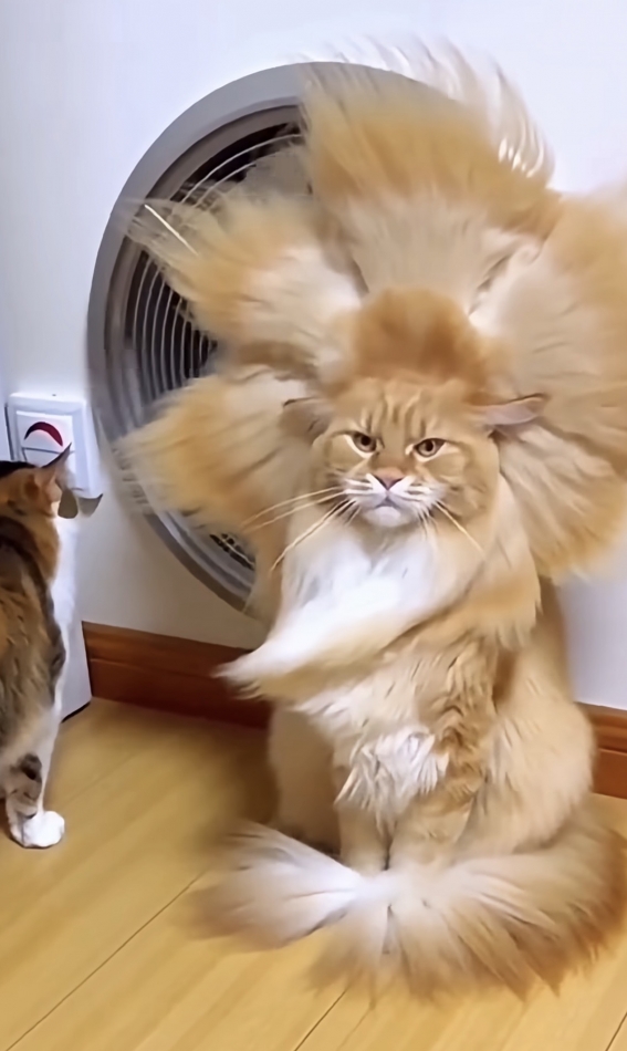 CLUB WONDER日記1631003