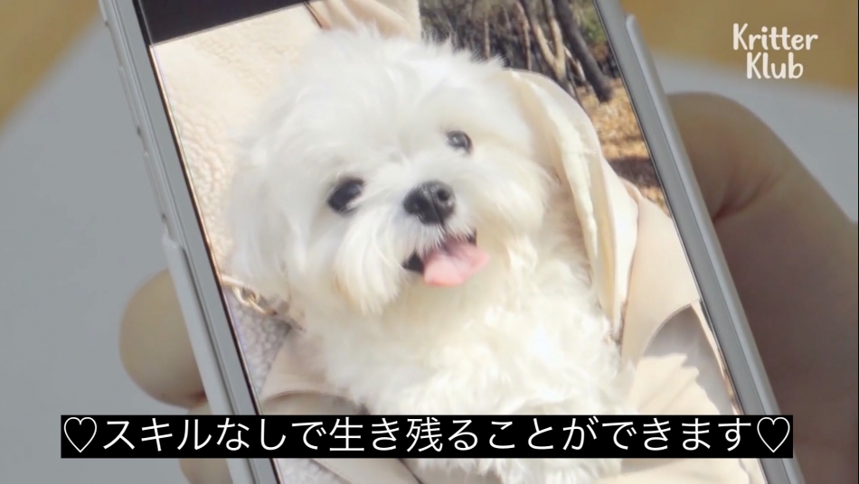 早くこれになりたい