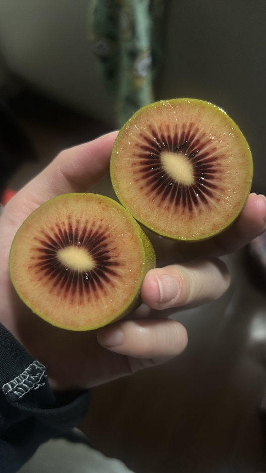 Lounge Veranda日記1638843