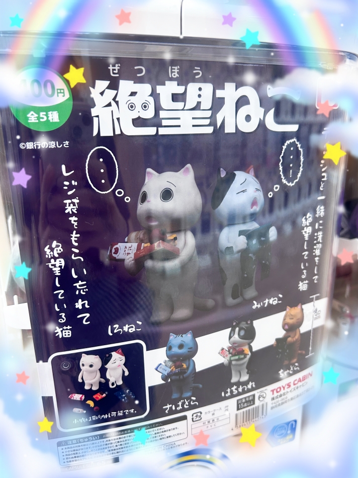 CLUB WONDER日記1711574