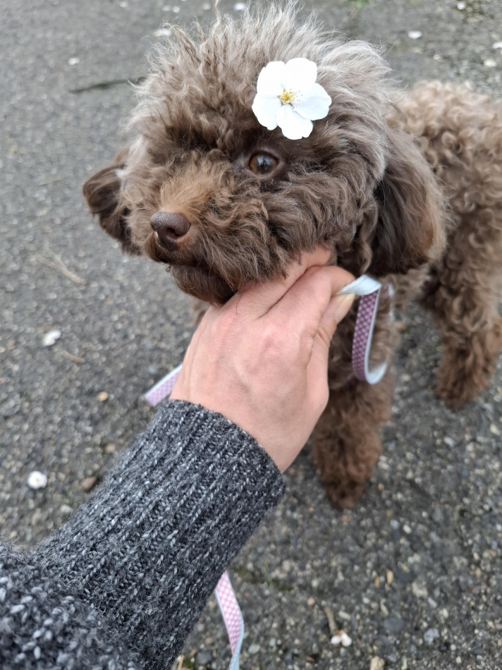 熟女キャバクラ Lips日記1641496