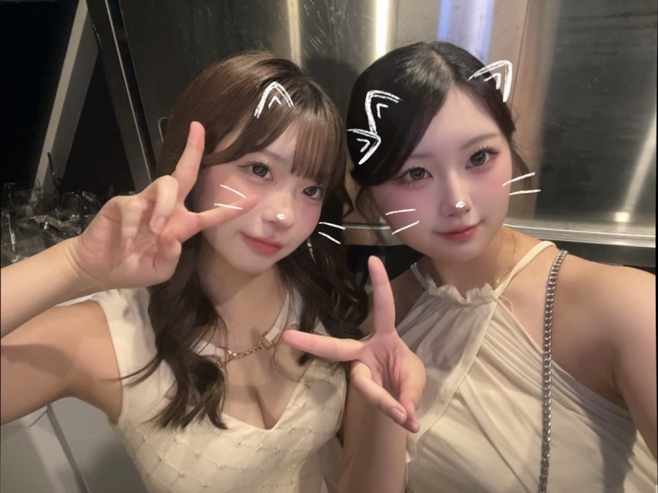 一条 葵