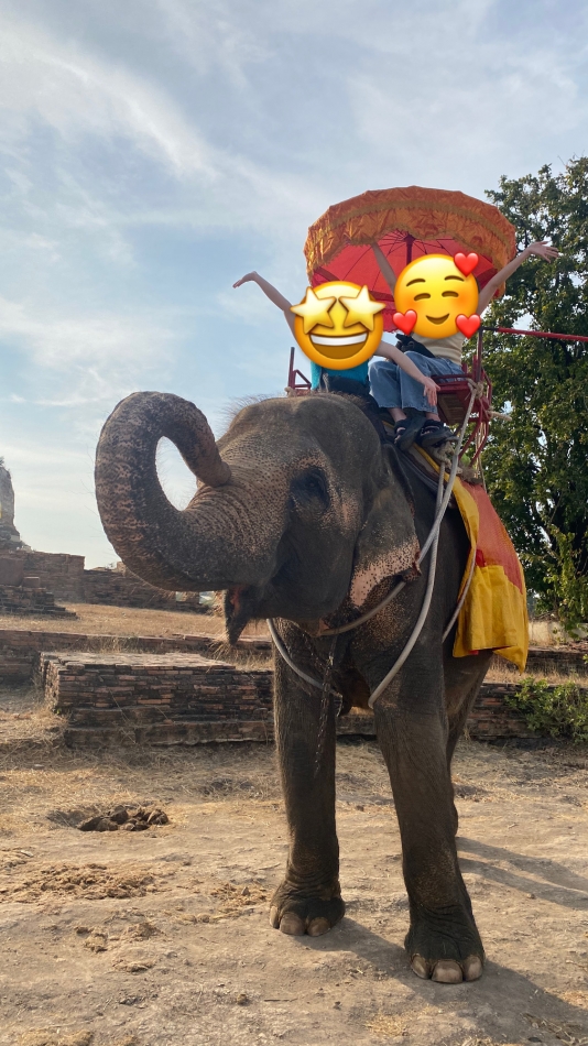 🇹🇭🐘