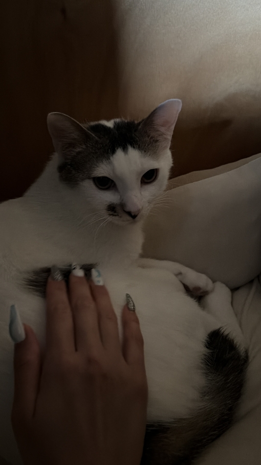 CLUB HEARTS日記1651531