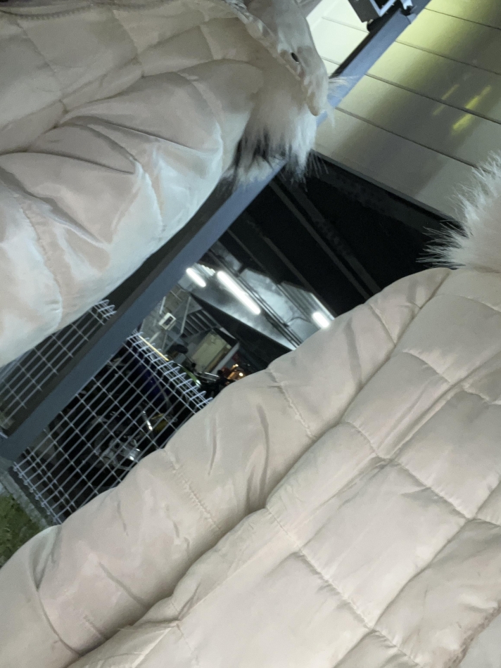 5月4日 00時14分のブログ