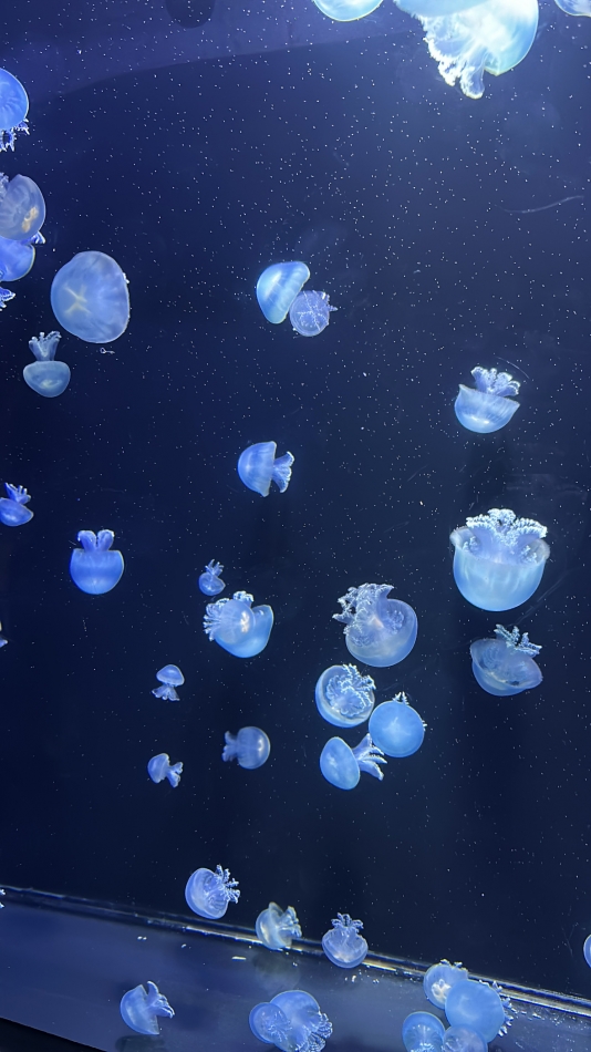 CLUB sphere日記1315235