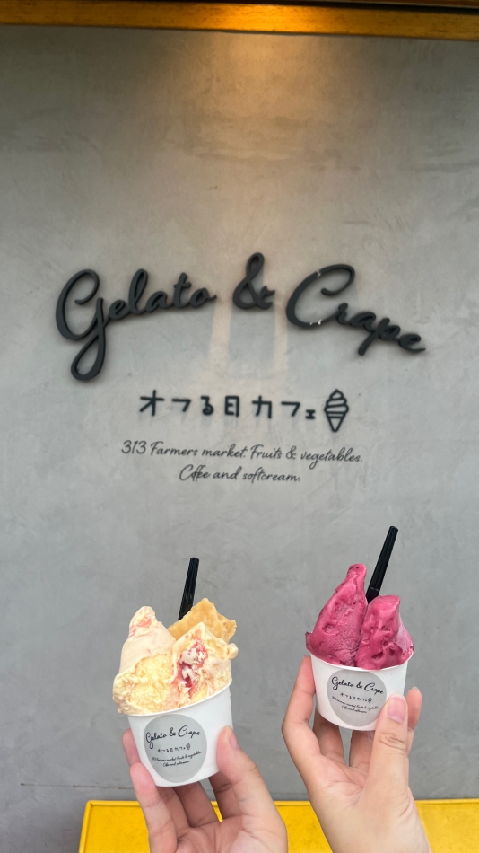 一条 葵