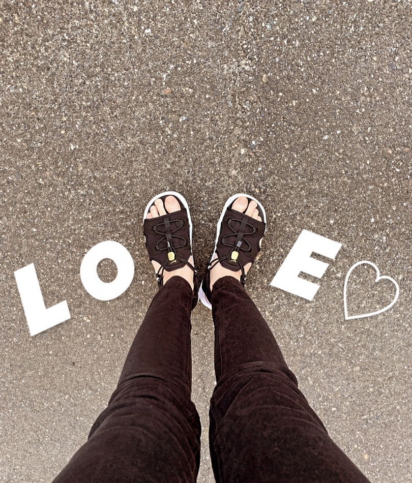 Persephone日記1329301