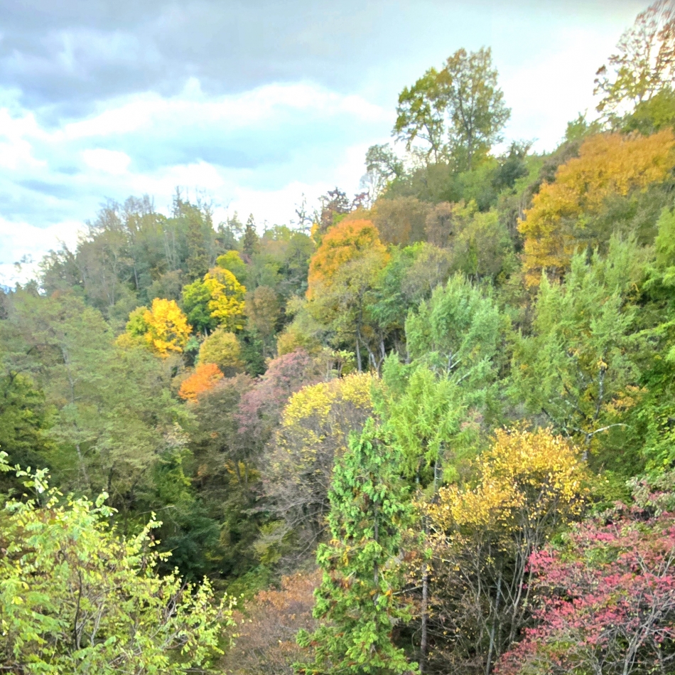 クラブ プラチナ 長野日記1517681