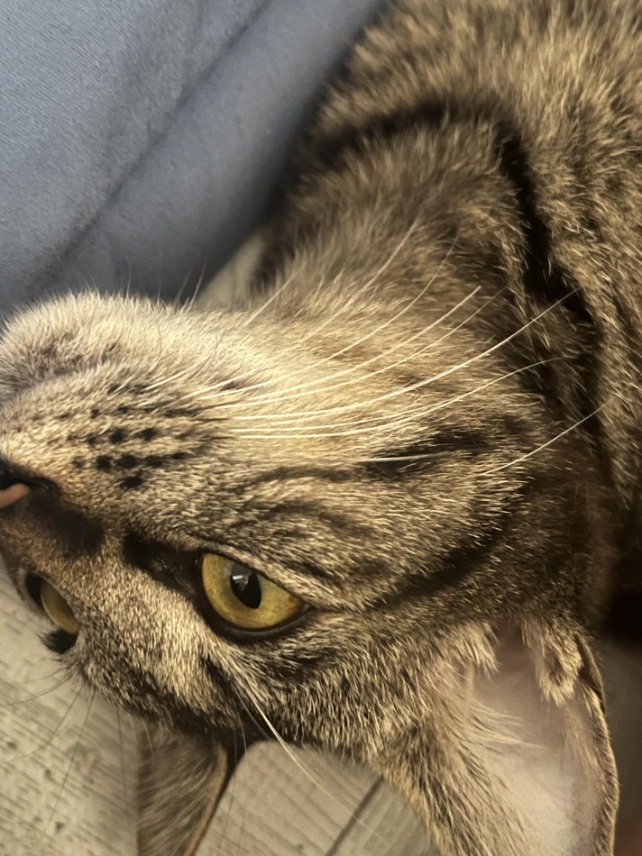 Wednesday☻（ 7月3$BF|(B $B!K(B