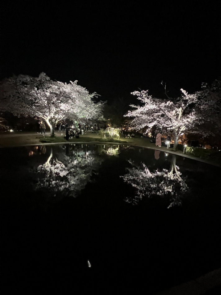 すきなんだ⸜❤︎⸝‍