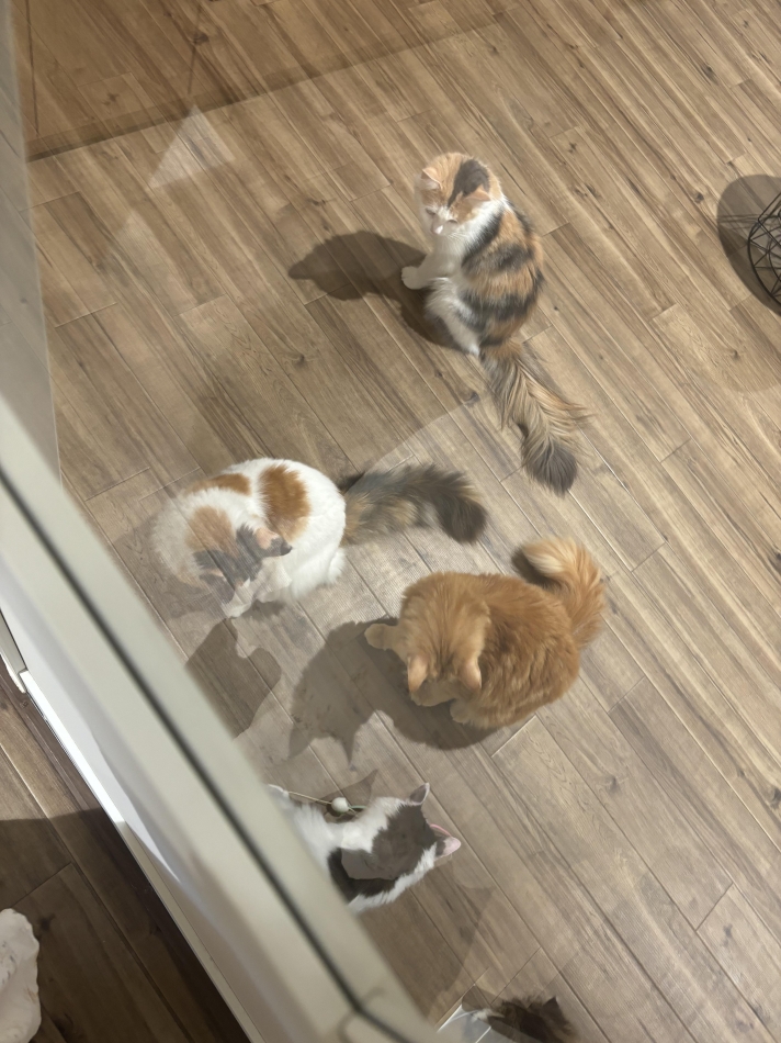 いっぱいいる、、、