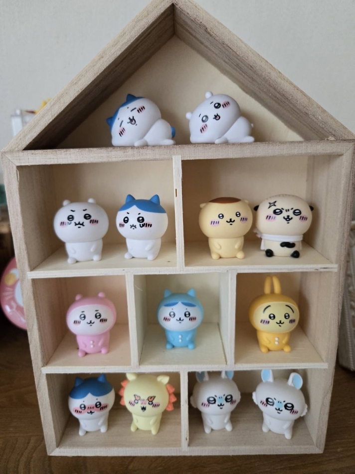 コレクション🏡⋆*