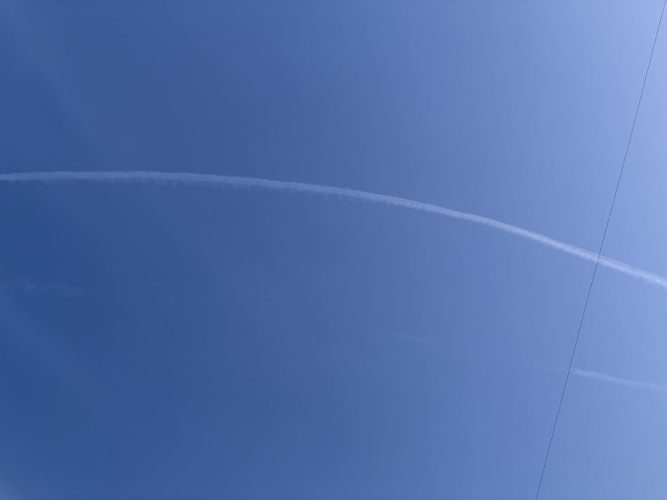 ROYAL ONE日記1639961