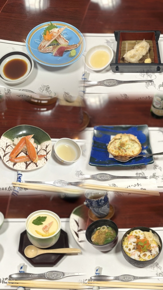 一条 葵