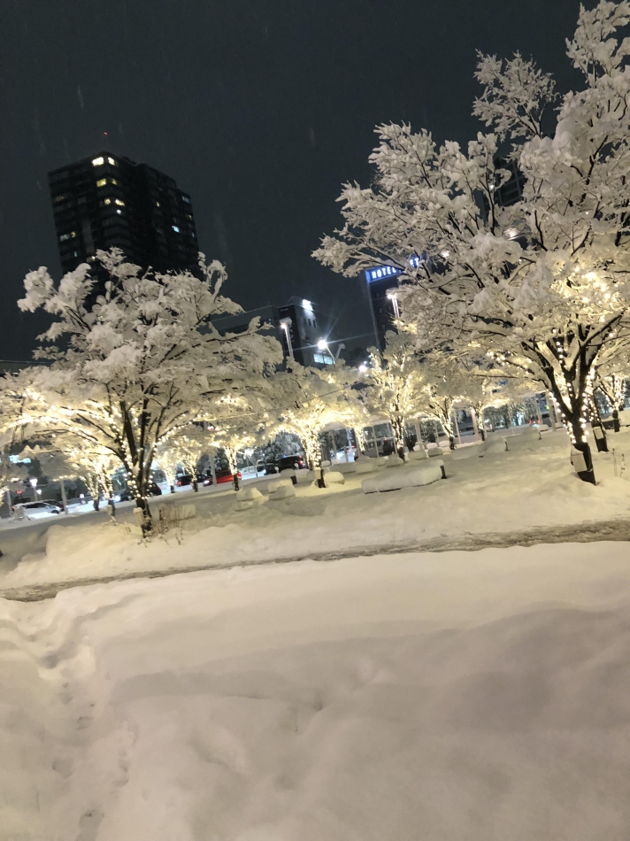 Diletto日記1577946