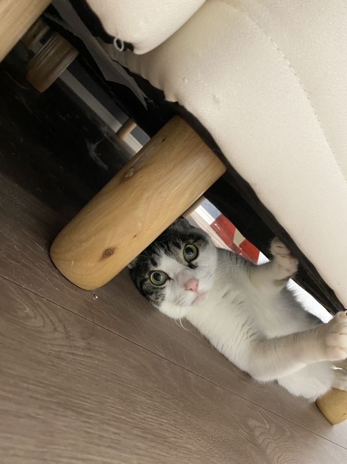 藤咲 あや