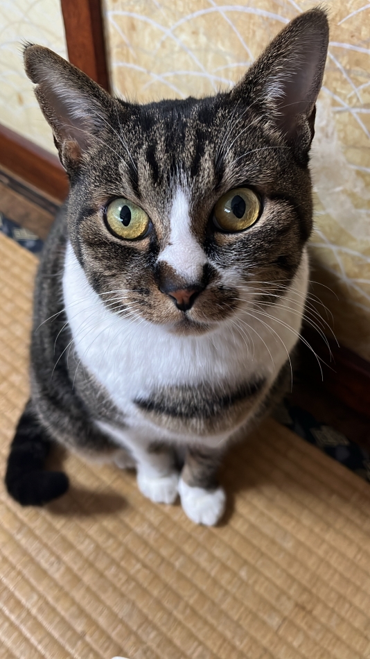 Lounge Veranda日記1587919