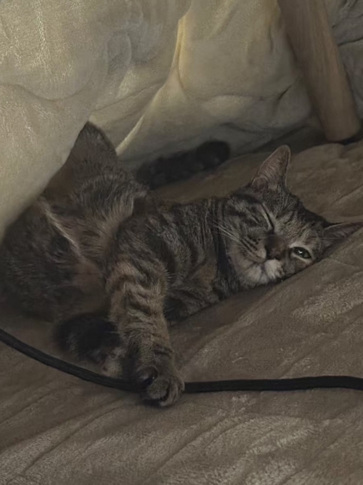 Lounge Anshu日記1560656