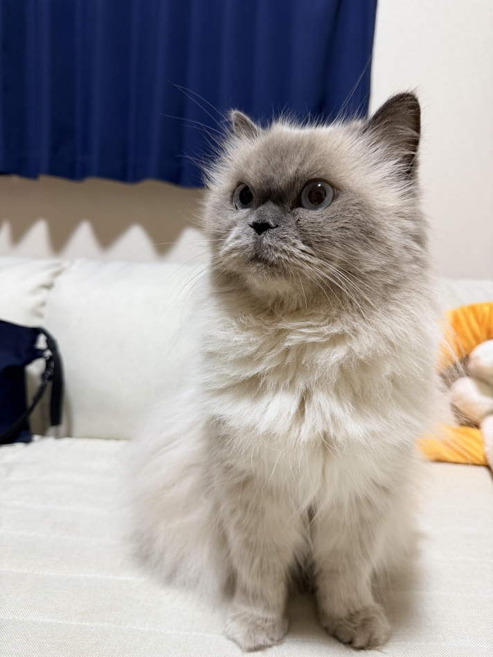 いい女ムーブなベストショット